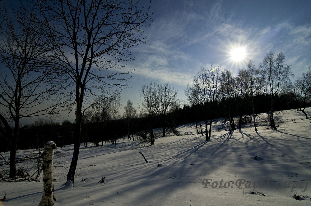 _DSC6176xs.jpg