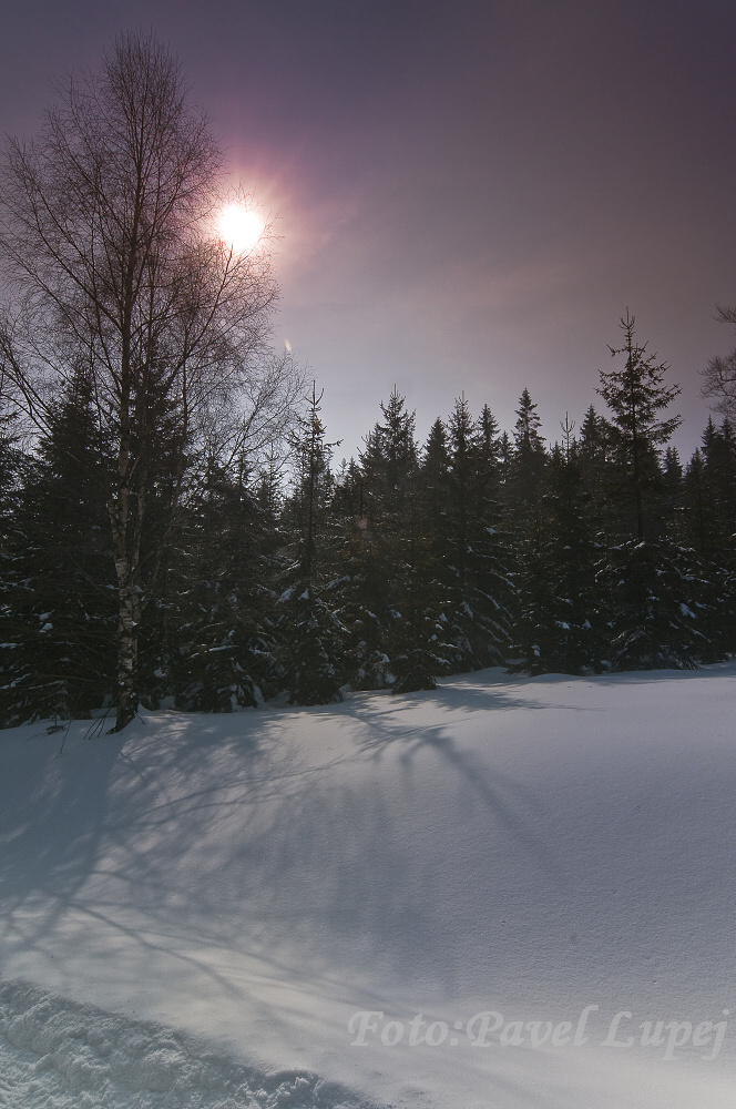_DSC6660xs.jpg