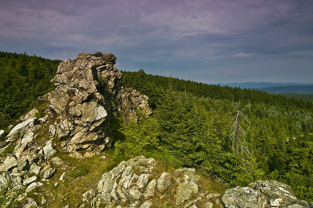 _dsc9042xs