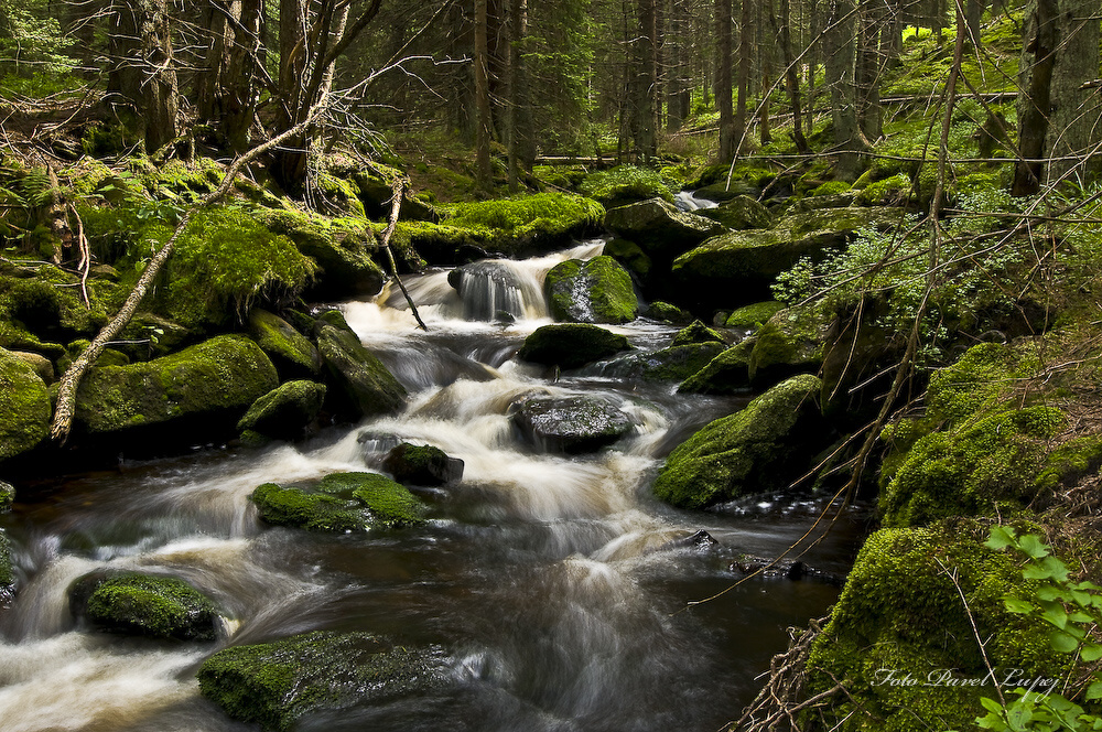 _dsc0006xsxs