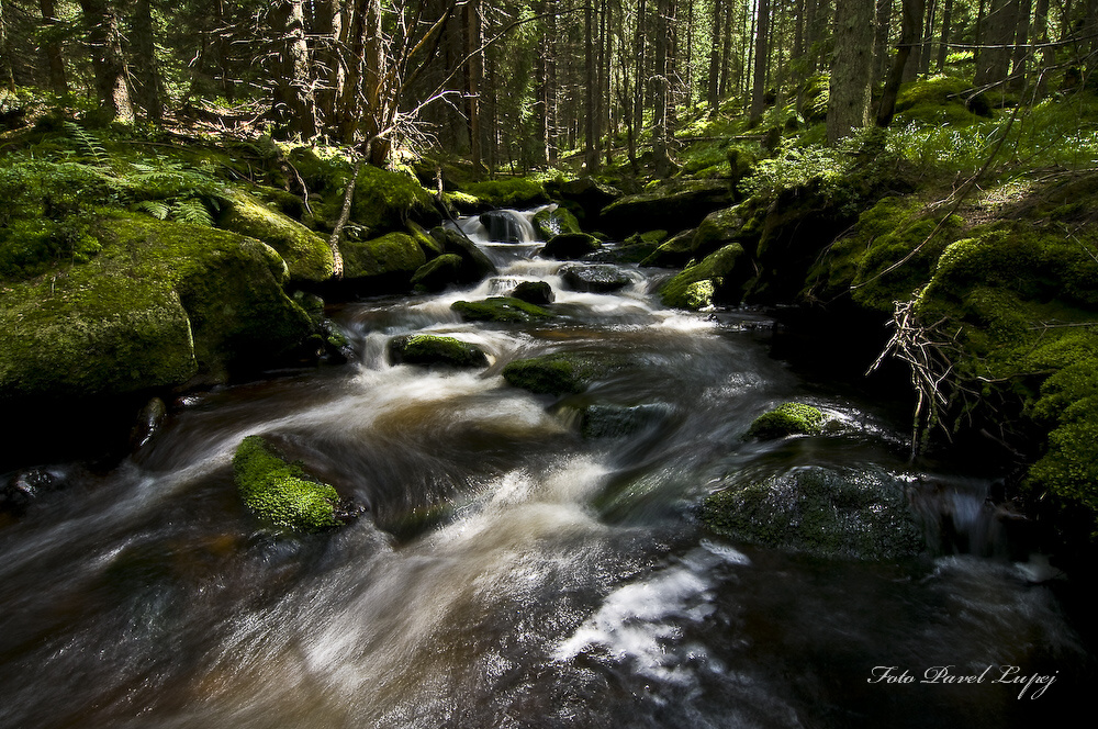 _dsc0010xsxs