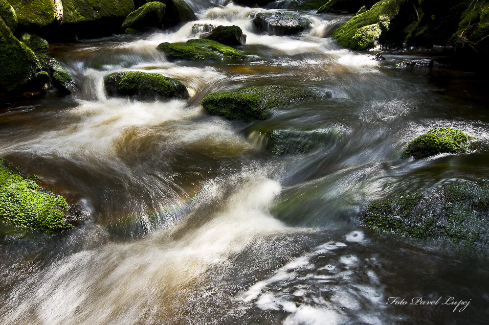 _dsc0014xsxs