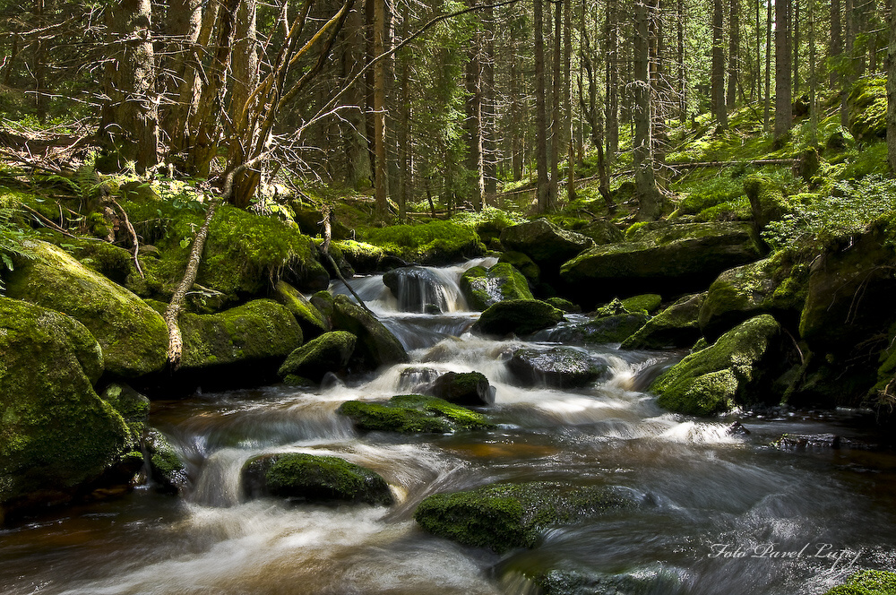 _dsc0015xsxs