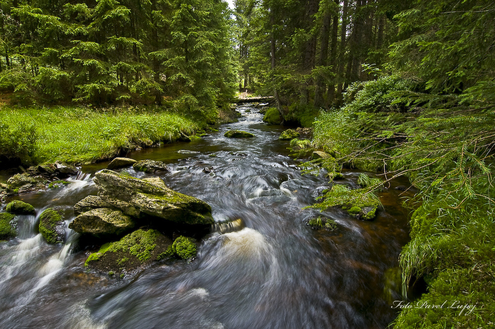 _dsc0035xsxs