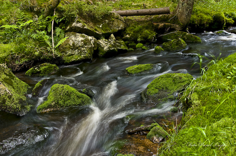 _dsc0036xsxs