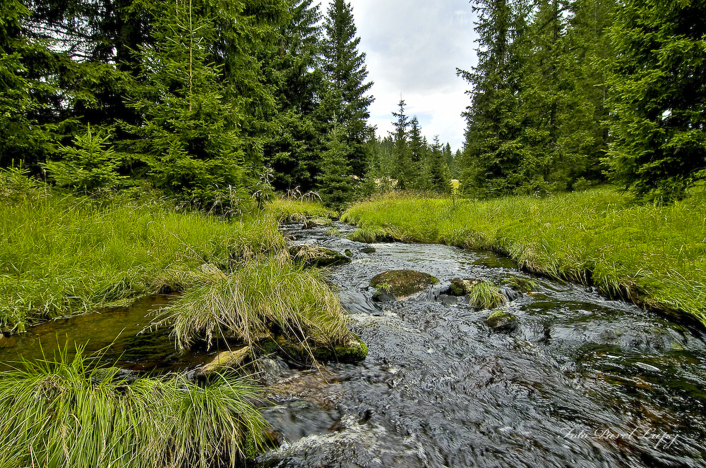 _dsc0043xsxs