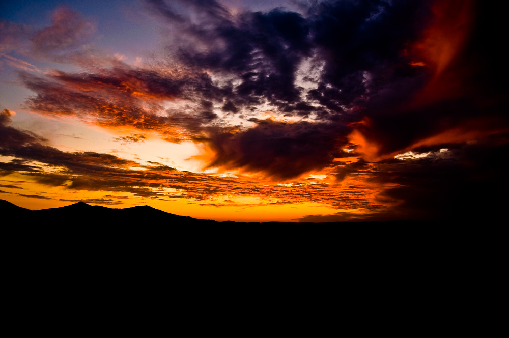 _DSC1295xsxs