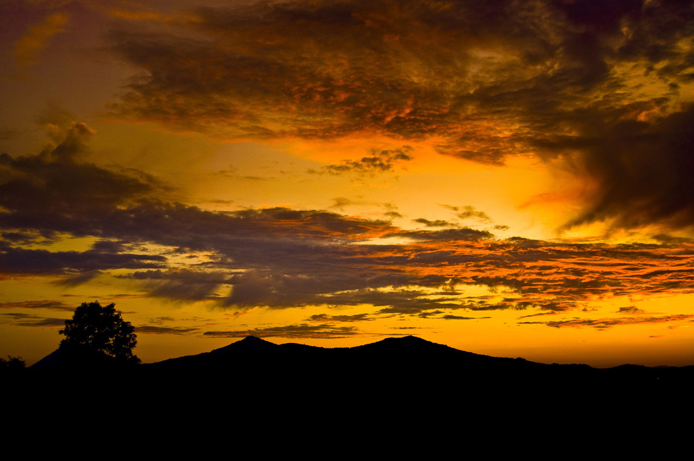 _DSC1298xsxs