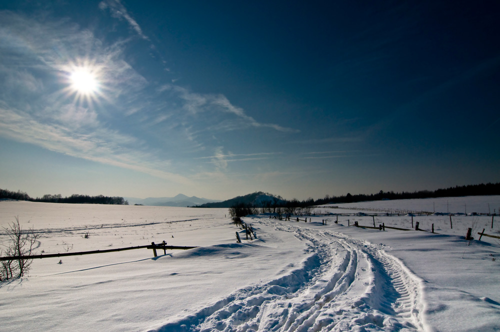 _DSC6182xs