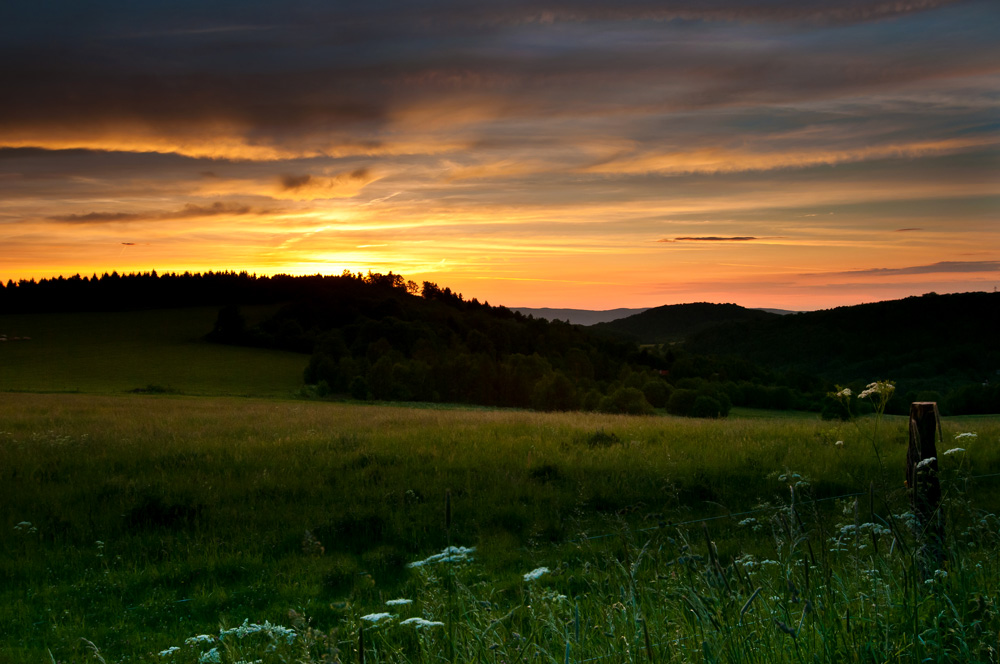 DSC_6382-2