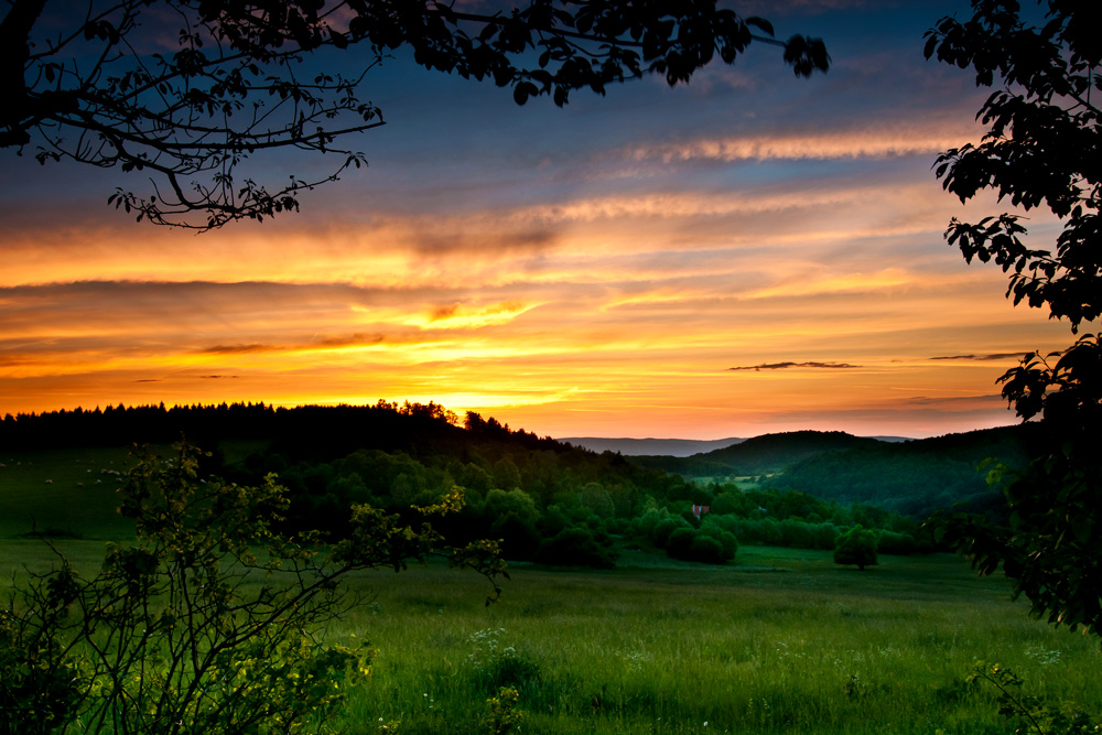 DSC_6394-3