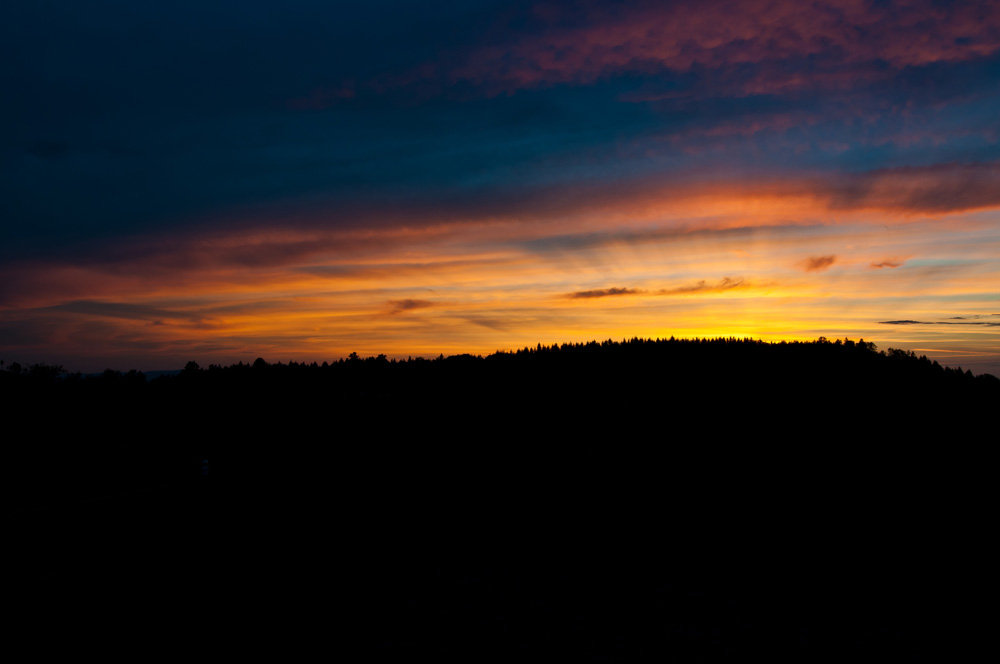 DSC_6402