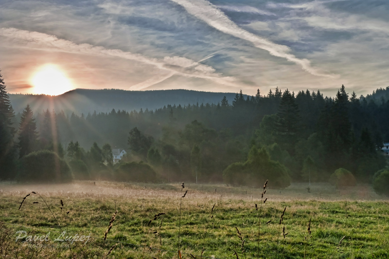 DSC_5866