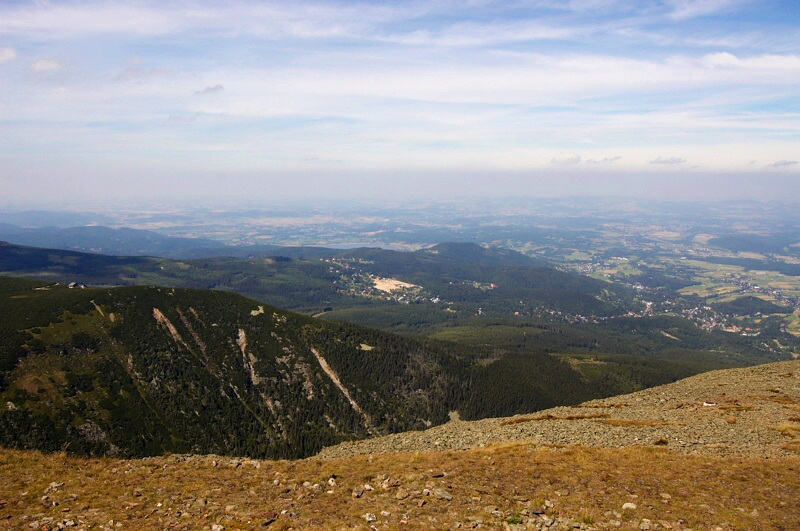 DSC_0038-1.jpg