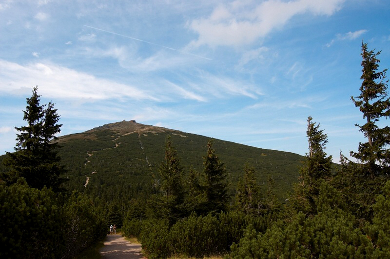 DSC_0111-1.jpg