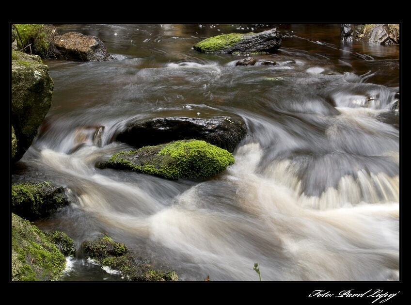 _DSC1932xs.jpg